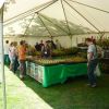 stand2