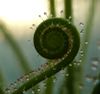 BenoParis