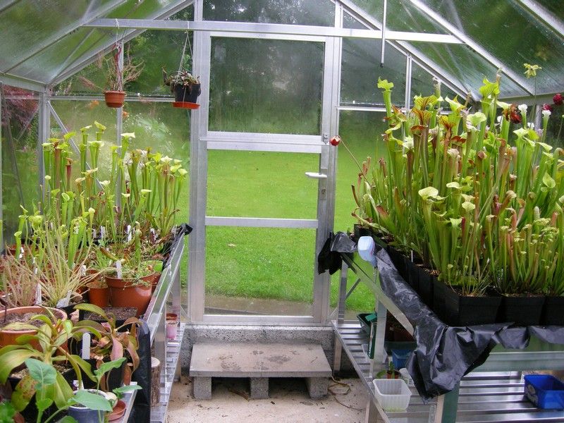 Greenhouse