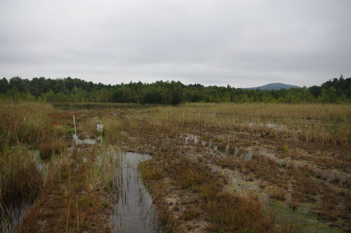 PTX 7437