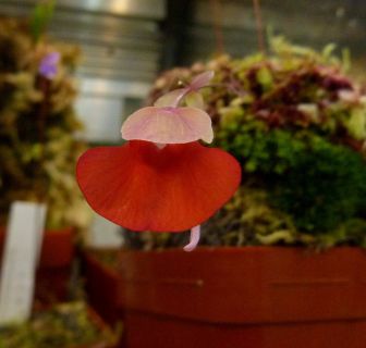 med_gallery_4591_674_210717.jpg