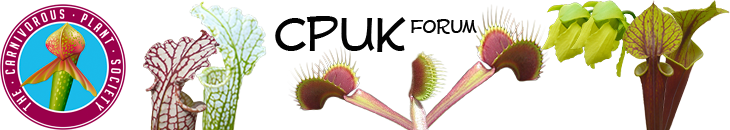 Carnivorous Plants UK