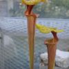 S. flava var flava ipF38a  - Orange Tube