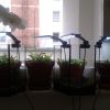 windowsill